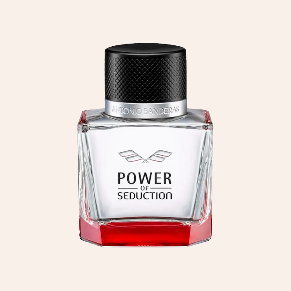 Power Of Seduction For Men