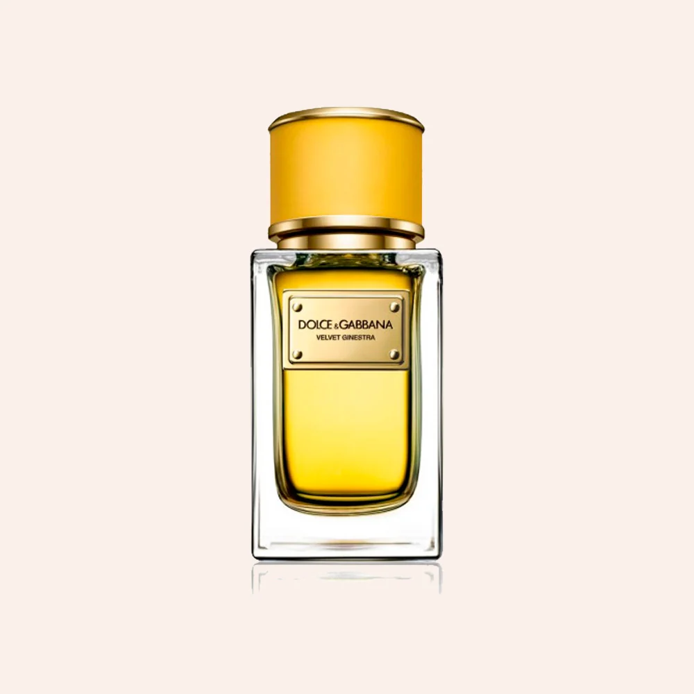 Velvet Ginestra For Women
